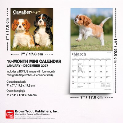 2027 BrownTrout Cavalier King Charles Spaniel Puppies 7" x 7" Monthly Wall Calendar, Assorted Colors (9798330709953)