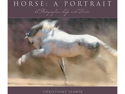 Horse: A Portrait, Picture Book, Hardcover (5965)