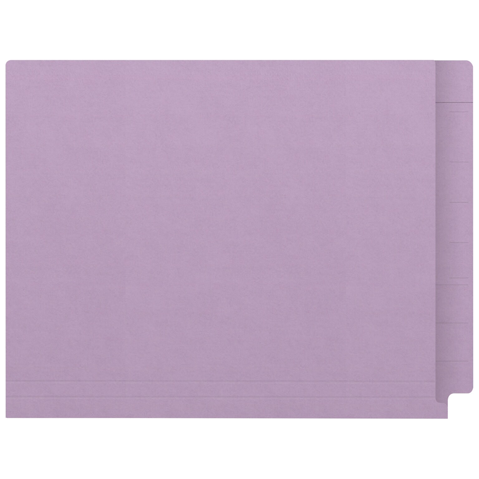 Medical Arts Press Kardex Match Reinforced End Tab File Folder, Straight Cut, Letter Size, Purple, 100/Box (S-09482-PRP)