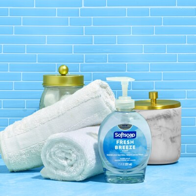 Softsoap Liquid Hand Soap Pump, Fresh Breeze, 7.5 fl. oz. (US04964A/127093)
