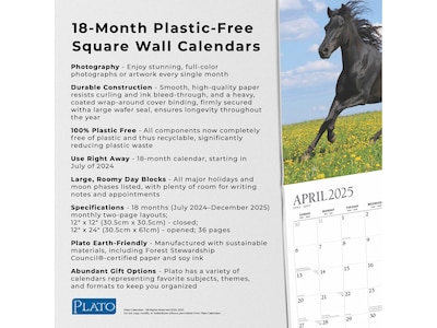 2024-2025 Plato Magnificent Horses 12" x 12" Academic & Calendar Monthly Wall Calendar (9781975481339)