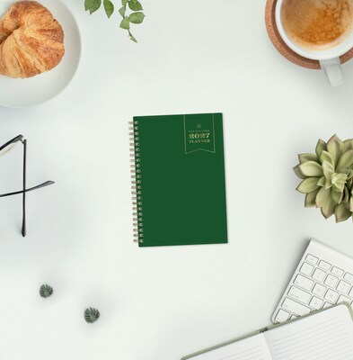 2027 Blue Sky Day Designer 5" x 8" Weekly & Monthly Planner, Green (163794)