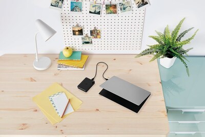 Western Digital Elements SE 6TB External USB 3.0 Hard Drive, Black (WDBG8A0060BBK-WESN)
