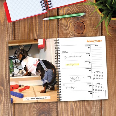 2027 Willow Creek Crusoe the Celebrity Dachshund 6.5" x 8.5" Weekly & Monthly Desk Calendar (64375)