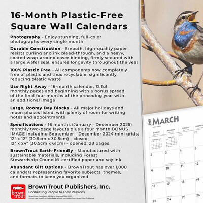 2025 BrownTrout Songbirds 12" x 12" Monthly Square Wall Calendar (9781975477806)