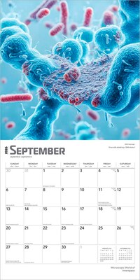 2026 BrownTrout Microscopic World of Innerspace 12" x 12" Monthly Wall Calendar (9798330703883)