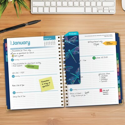 2027 Excello Brands 9 x 11 Weekly & Monthly Standard Planner, Paperboard Cover, Dragonflies (FSHN-CY27-8511-59)