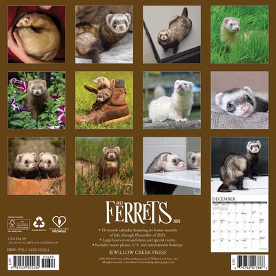 2026 Willow Creek Ferrets 12 x 12 Monthly Wall Calendar (55434)