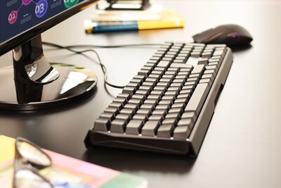 Cherry MX Board 3.0 S Wired Gaming Mechanical Keyboard, Black (G80-3874LWAUS-2)