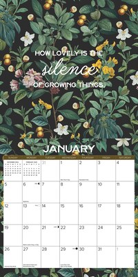 2025 Willow Creek Botanical Nature 12" x 12" Monthly Wall Calendar (41987)