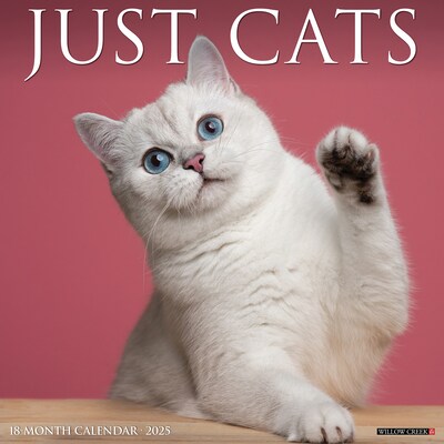 2025 Willow Creek Just Cats 12 x 12 Monthly Wall Calendar (42236)