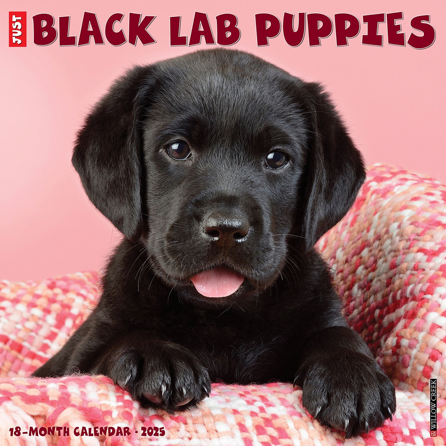 2025 Willow Creek Just Black Lab Puppies 2025 Wall Calendar 12 x 12 (41857)