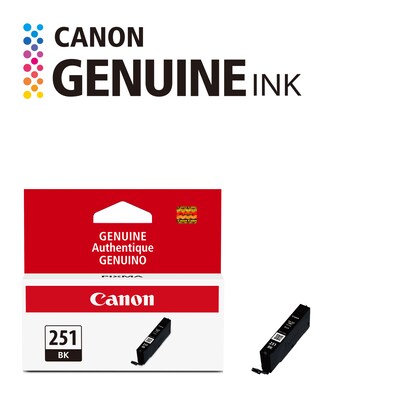 Canon 251 Black Standard Yield Ink Cartridge  (6513B001)