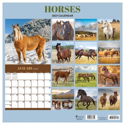 2027 TF Publishing Horses 12" x 12" Monthly Wall Calendar (27-1012)
