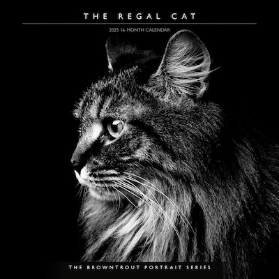 2025 BrownTrout Portrait Series: The Regal Cat 12 x 12 Monthly Wall Calendar (9781975476809)