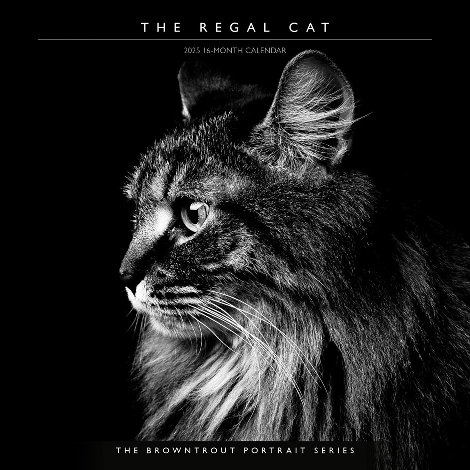 2025 BrownTrout Portrait Series: The Regal Cat 12 x 12 Monthly Wall Calendar (9781975476809)
