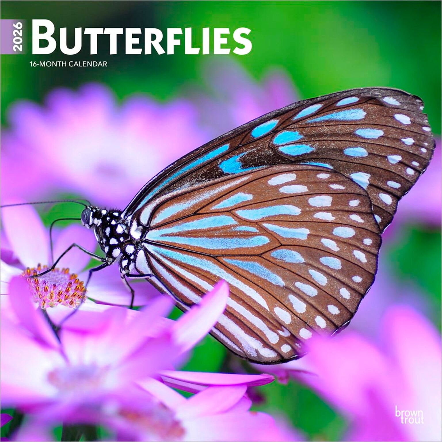 2026 BrownTrout Butterflies 12 x 12 Monthly Wall Calendar (9798330702695)