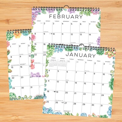 2026 Willow Creek Succulents 12" x 12" Monthly Wall Calendar (54765)