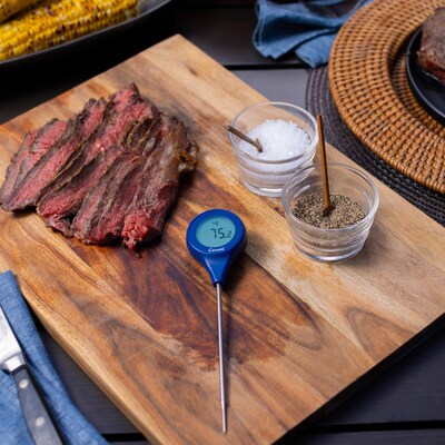Escali Easy-Read Stainless Steel Digital Food Thermometer, Blue (DHP4)