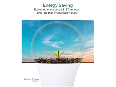 Viribright 9-Watt Warm White LED General-Purpose Bulb, Dozen (640335-12ES)