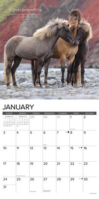 2027 Willow Creek Seize the Hay! 12" x 12" Monthly Wall Calendar, Assorted Colors (62272)