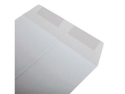Staples 6 x 9 Economy Catalog Envelopes, White Wove, Gummed Flap Seal, Lightweight Document Mailers, 250/Box