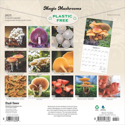 2025 Brush Dance Magic Mushrooms 12 x 12 Monthly Square Wall Calendar (9781975478698)