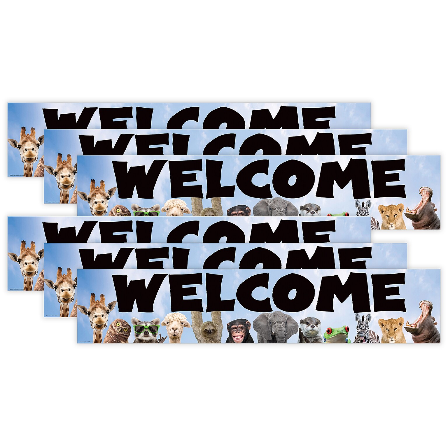 Teacher Created Resources Go Wild Animals Welcome Banner, 8 x 39, 6 Packs/Bundle (TCR6836-6)