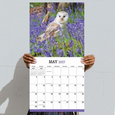 2027 TF Publishing Owls 11" x 12" Monthly Wall Calendar, Multicolored (27-1044)