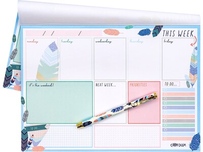 Carpe Diem Feathers 8.3" x 11.7" Weekly Planner, Multicolor (9219-CD)