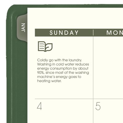 2026 AT-A-GLANCE Recycled 8.25" x 11" Weekly & Monthly Appointment Book Planner, Faux Leather Cover, Green (70-950G-60-26)