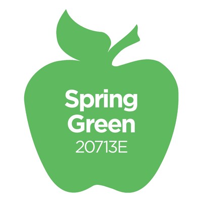 Apple Barrel Acrylic Paint Matte, 8oz., Spring Green, 6/Pack (APP20713E-6)