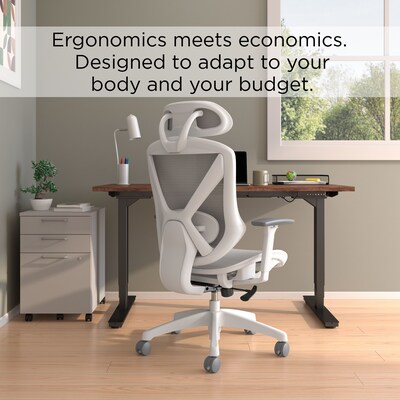 Staples Dexley Ergonomic Mesh Swivel Task Chair, Gray (UN61365)