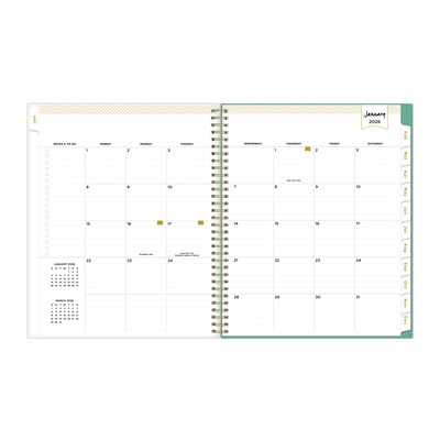 2026 Blue Sky Day Designer Peyton 8.5" x 11"  Weekly & Monthly Planner, Plastic Cover, Multicolored (103618-26)