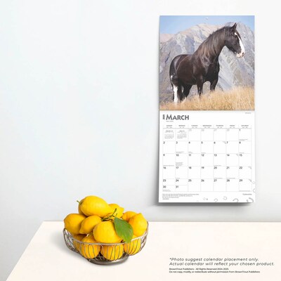 2025 BrownTrout Clydesdales 12" x 12" Monthly  Wall Calendar (9781975476854)