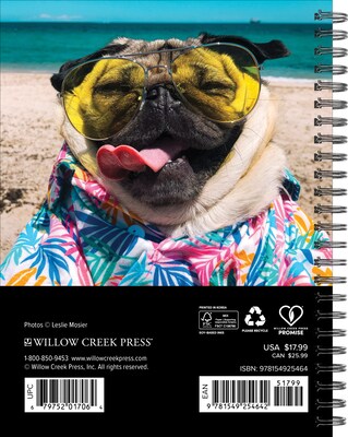 2026 Willow Creek Doug the Pug 6.5 x 8.5 Daily & Monthly Personal Organizer (54642)