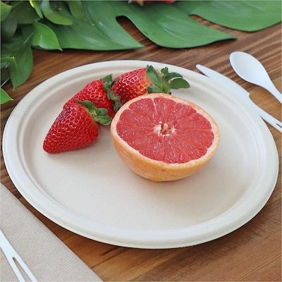 World Centric Compostable 10" Plates, Beige, 20 Plates/Pack (WORPLRTSCU10)