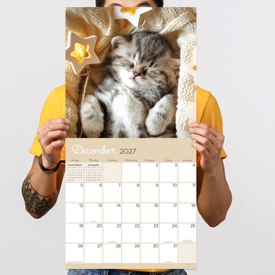 2027 TF Publishing Cat Dreams 12" x 12" Monthly Wall Calendar (27-1003)