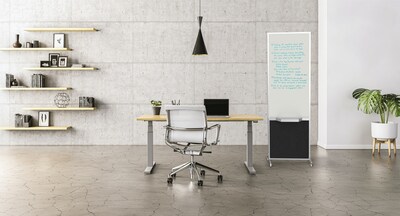 Versare ShieldWrite Level 3 Double Sided Magnetic Painted Steel Mobile Whiteboard, 2 x 6, Black (1100017)