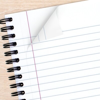 Cambridge Legal 1-Subject Professional Notebooks, 6.5" x 9.5", Legal Ruled, 80 Sheets, Gray (06672)