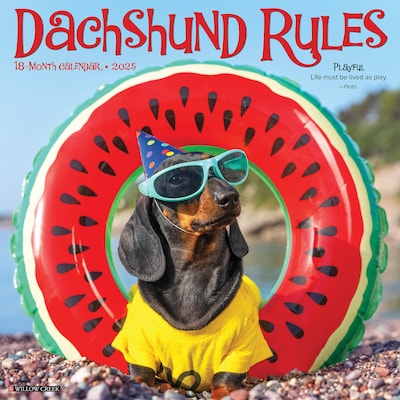 2025 Willow Creek Dachshund Rules 12 x 12 Monthly Wall Calendar (42656)