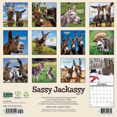 2027 Willow Creek Multi 12 x 12 Monthly Wall Calendar, Assorted Colors (62142)