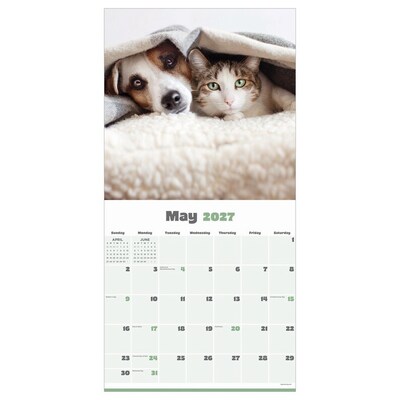 2027 TF Publishing Furry Friends 12" x 12" Monthly Wall Calendar (27-1011)