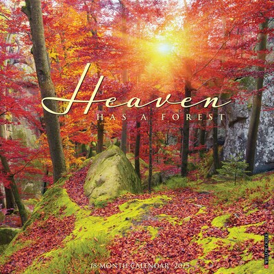 2025 Willow Creek Heaven Has a Forest 12 x 12 Monthly Wall Calendar (43325)