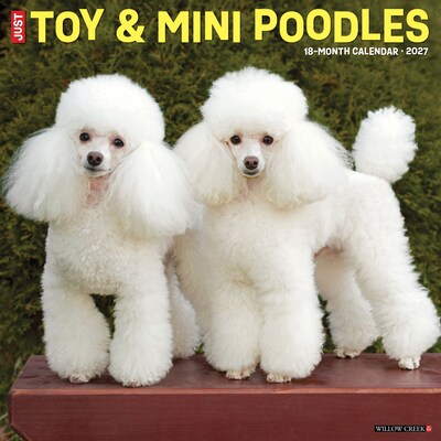 2027 Willow Creek Poodles 12 x 12 Monthly Wall Calendar, Assorted Colors (62647)