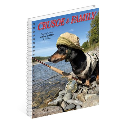 2027 Willow Creek Crusoe the Celebrity Dachshund 6.5" x 8.5" Weekly & Monthly Desk Calendar (64375)