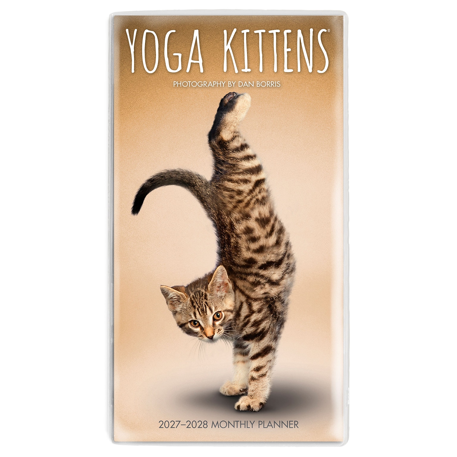 2027-2028 BrownTrout Yoga Kittens 3.5 x 6.5 Monthly Planner (9798330713547)
