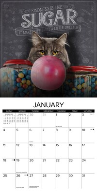 2026 Willow Creek Catspirations 12" x 12" Monthly Wall Calendar (50637)