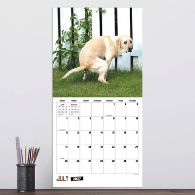2027 TF Publishing Pooping Dogs 12" x 12" Monthly Wall Calendar, Multicolored (27-1062)