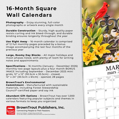 2026 BrownTrout Feathered Friends 12" x 12" Monthly Wall Calendar (9781773728780)